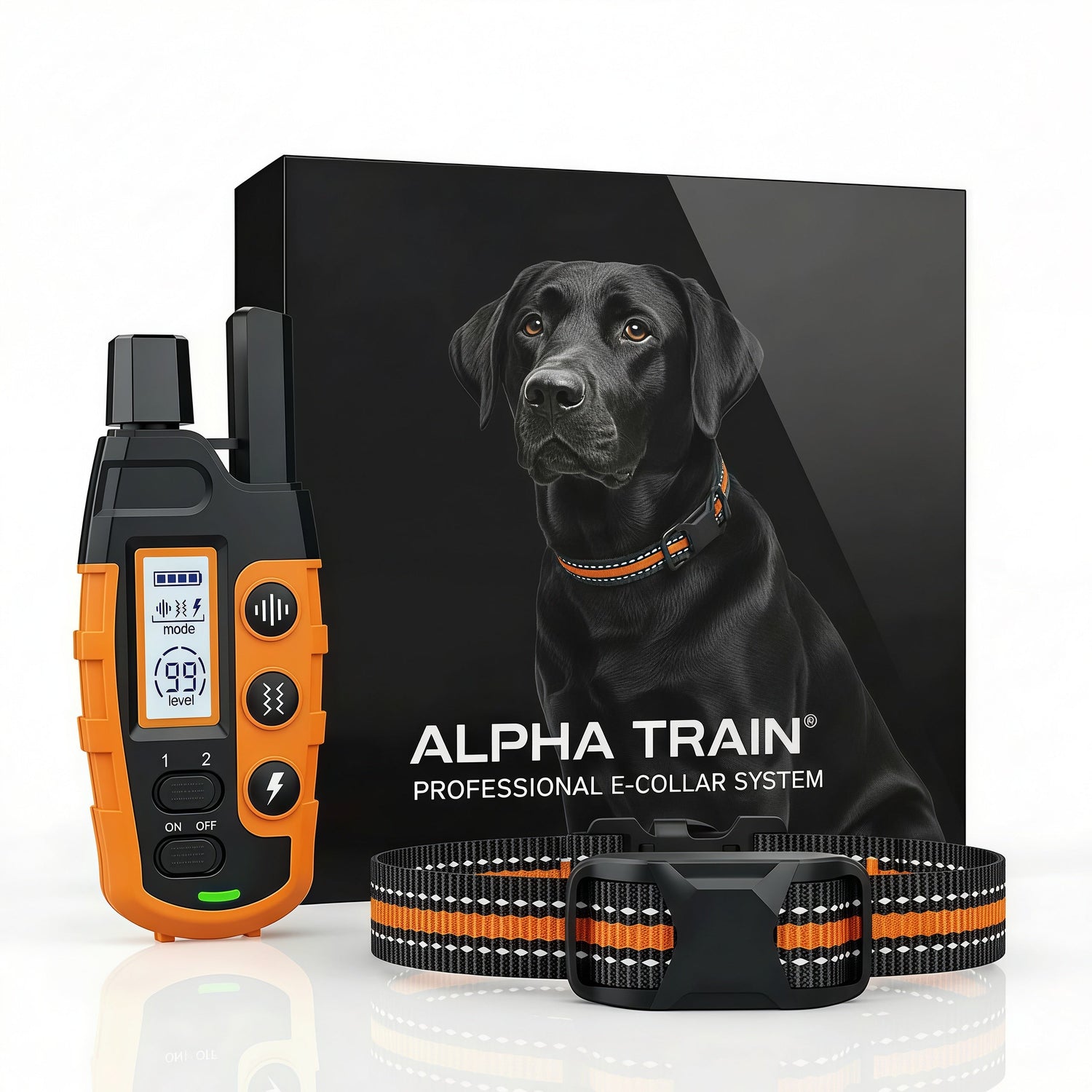 Accessori per Animali