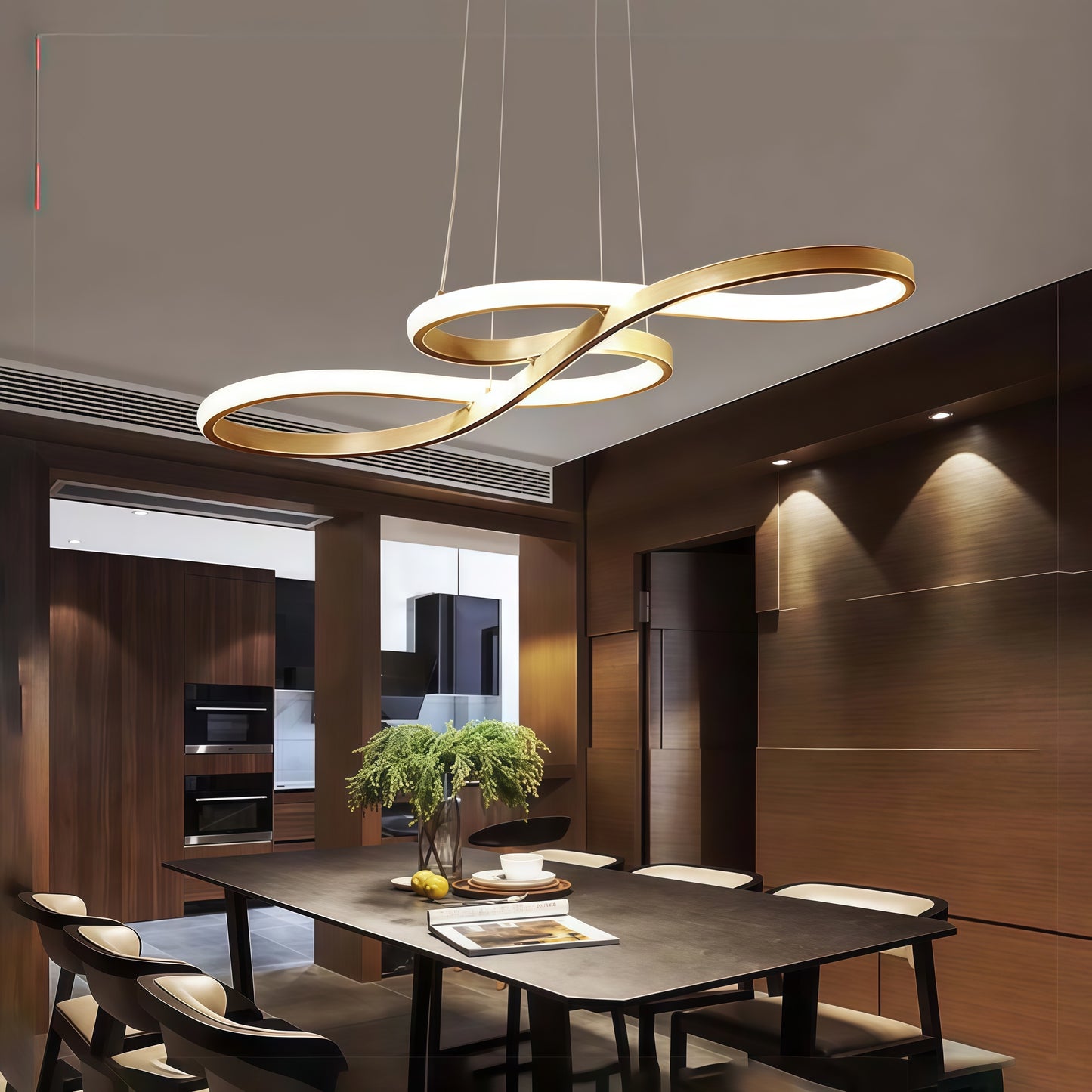 Modern Ceiling LED Light