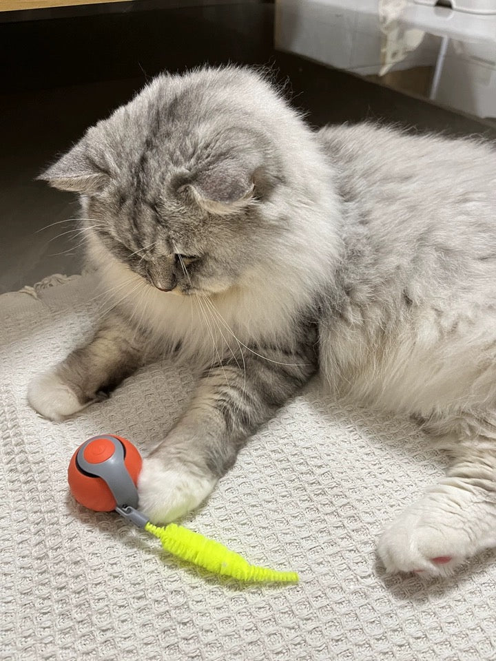 Giocattolo Interattivo per Gatti con Attivazione Automatica | Giochini per Gattini per Intrattenimento e Riduzione dello Stress