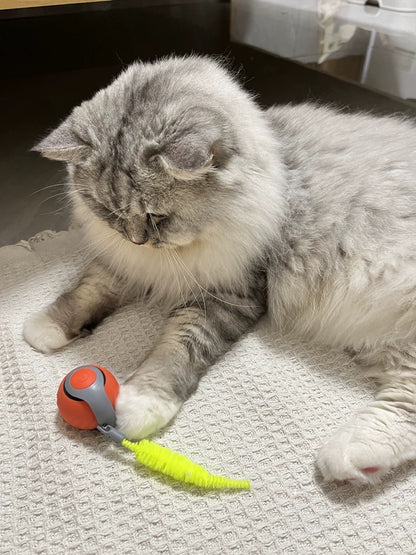 Giocattolo Interattivo per Gatti con Attivazione Automatica | Giochini per Gattini per Intrattenimento e Riduzione dello Stress