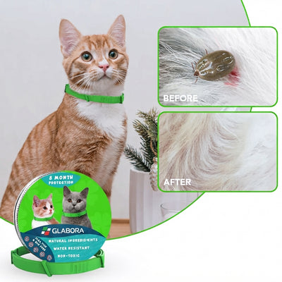 Antiparassitario Cani | Efficace Antipulci con Protezione di 8 Mesi | Formula Sicura per Cani di Tutte le Taglie