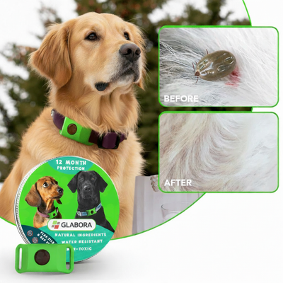 Collare Per Cani | Antiparassitario con Protezione di 12 Mesi | Efficace Contro Pulci e Zecche per Comfort e Sicurezza