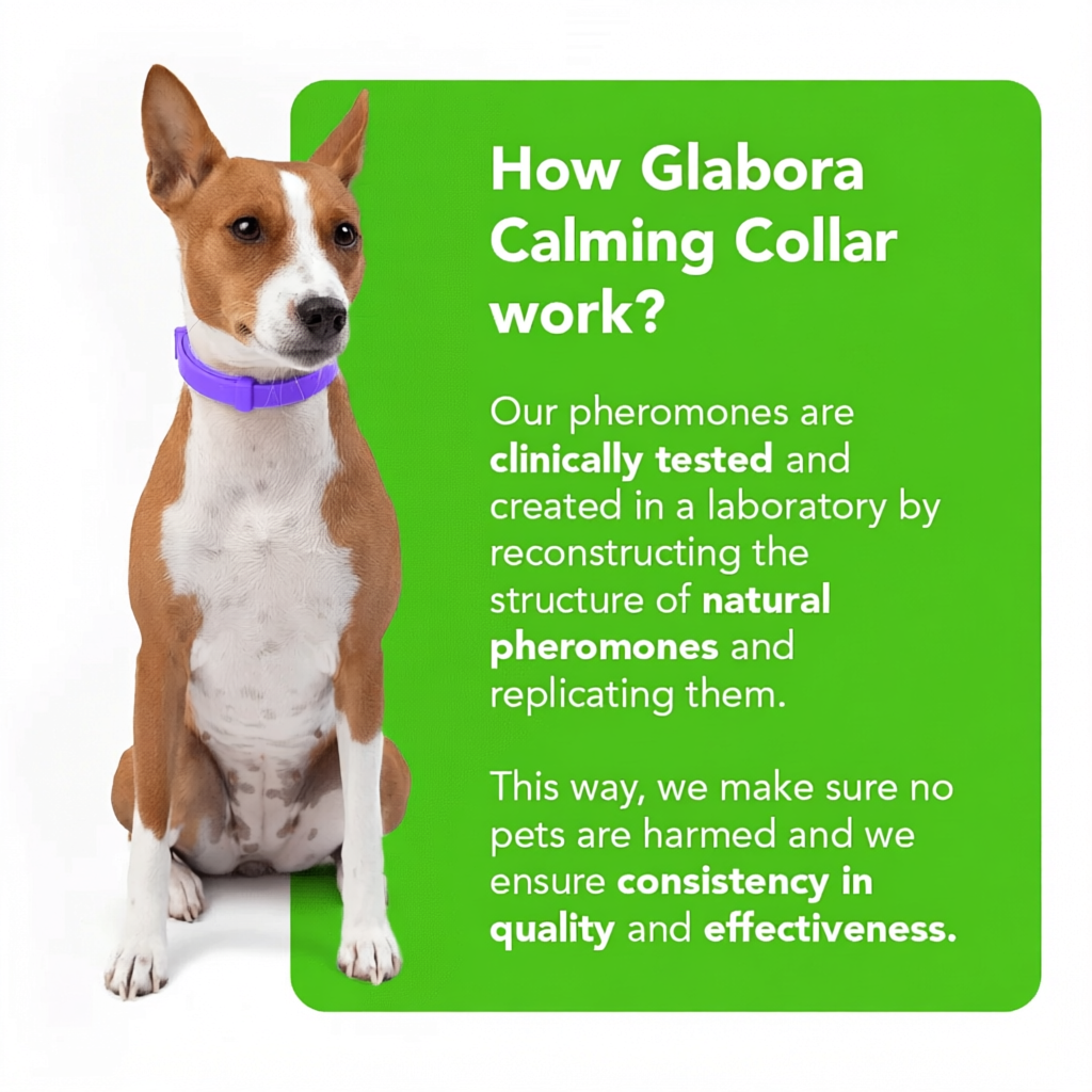 Collare per Cani con Feromoni Naturali per Ridurre Ansia e Stress - Design Regolabile e Comodo