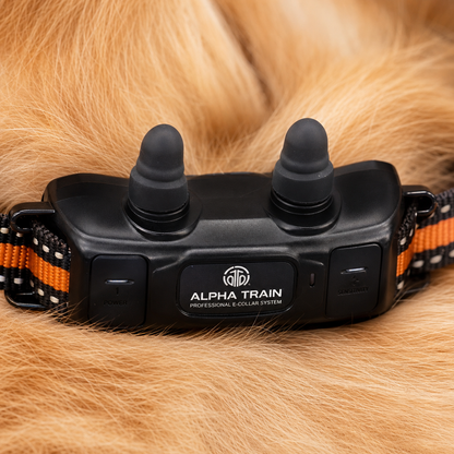 Collier électrique pour chiens | Collier de dressage étanche avec 3 modes réglables | Contrôle longue distance jusqu’à 1000 mètres