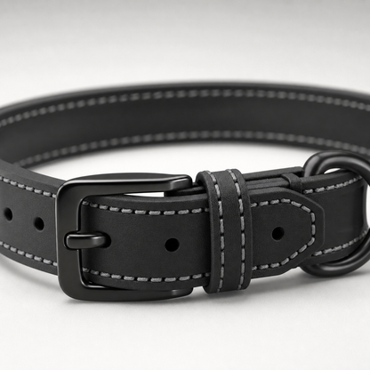 Electric Dog Collar with Waterproof Remote and 16 Shock Levels for Effective Training up to 1000m