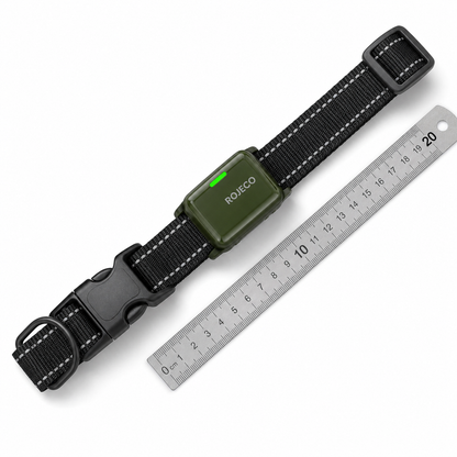 Collier intelligent pour chiens avec télécommande à 300 m | Rechargeable et réglable pour un dressage efficace