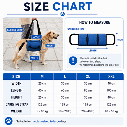 Imbracatura Ergonomica per Cani | Nylon Resistente con Maniglia Antiscivolo | Regolabile per Comfort e Sicurezza durante le Passeggiate