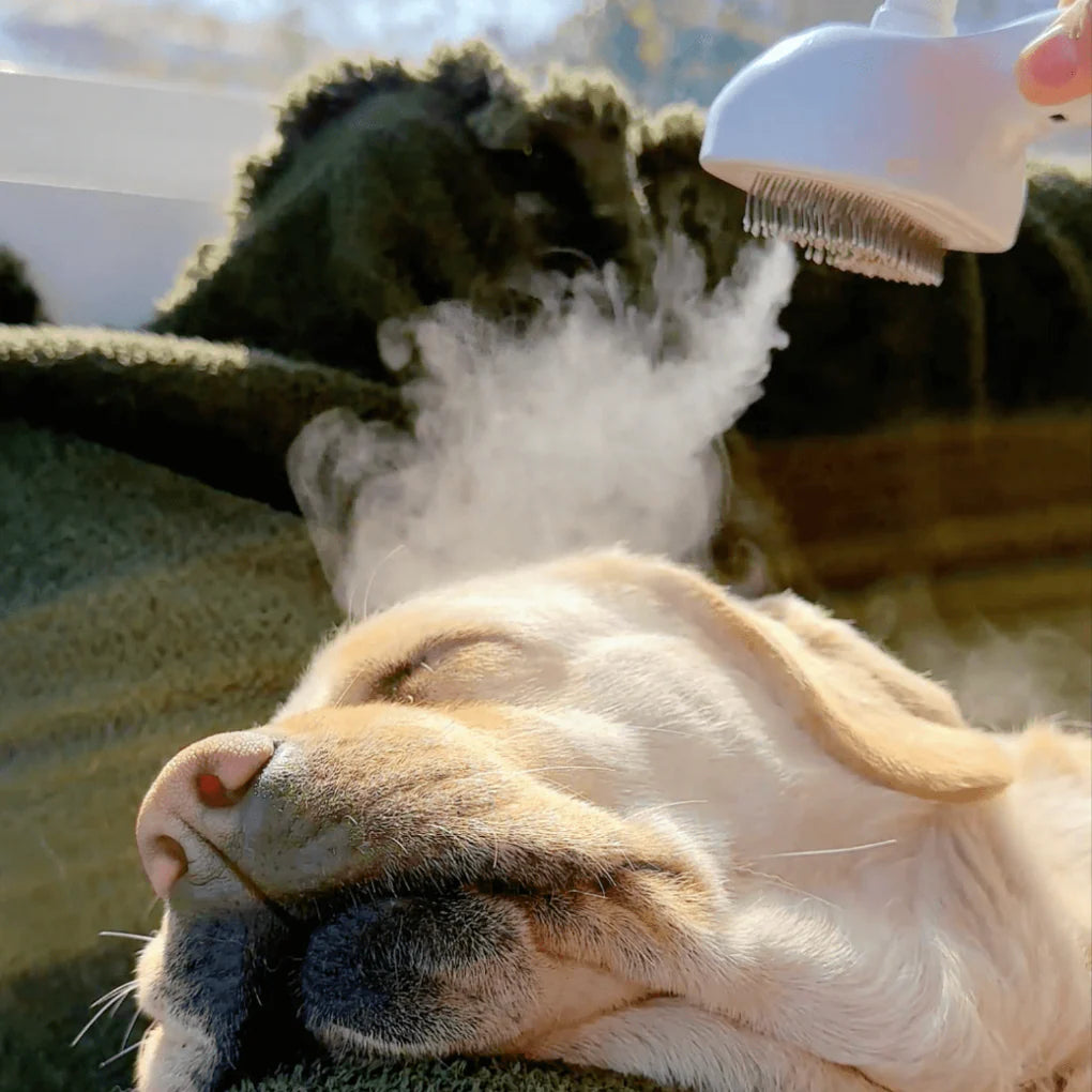 Spazzola per Cani e Gatti con Nebbia Detergente - Cura del Pelo per Animali Domestici