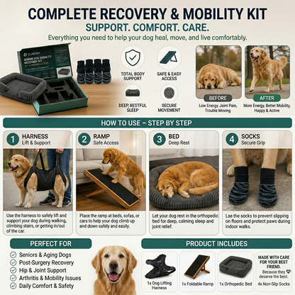 GLABORA SENIOR DOG MOBILITY KIT 4-IN-1 | LIFT HARNESS, FOLDABLE RAMP, ORTHOPEDIC BED, AND NON-SLIP SOCKS