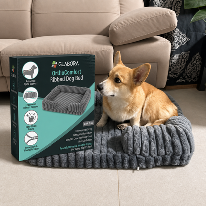 GLABORA SENIOR DOG MOBILITY KIT 4-IN-1 | LIFT HARNESS, FOLDABLE RAMP, ORTHOPEDIC BED, AND NON-SLIP SOCKS
