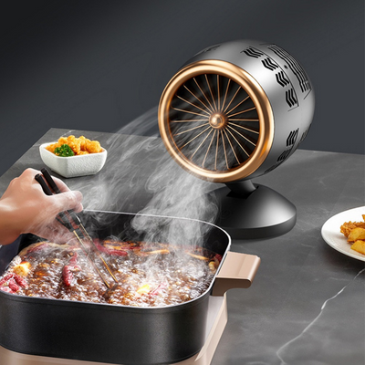 Hotte de cuisine portable | Hotte aspirante de cuisine à hauteur réglable | Idéale pour cuisiner en intérieur sans fumée