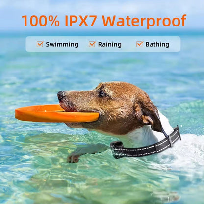 Collare Elettrico per Cani con Telecomando Impermeabile e 16 Livelli di Shock per Addestramento Efficace fino a 1000m