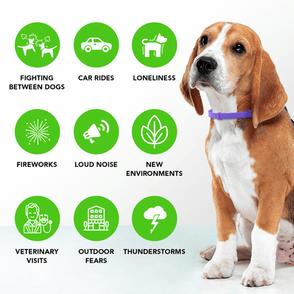 Collare per Cani con Feromoni Naturali per Ridurre Ansia e Stress - Design Regolabile e Comodo 3