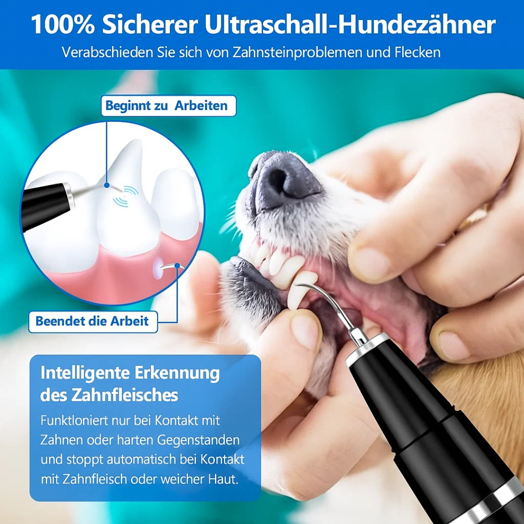 Pet Dental Care | Effective Tartar Removal with Gentle Cleaner | Practical Solution for Dogs and Cats