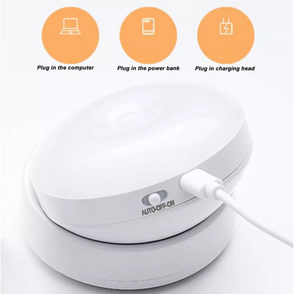 Wall LED Light with Motion Sensor for Indoor Use