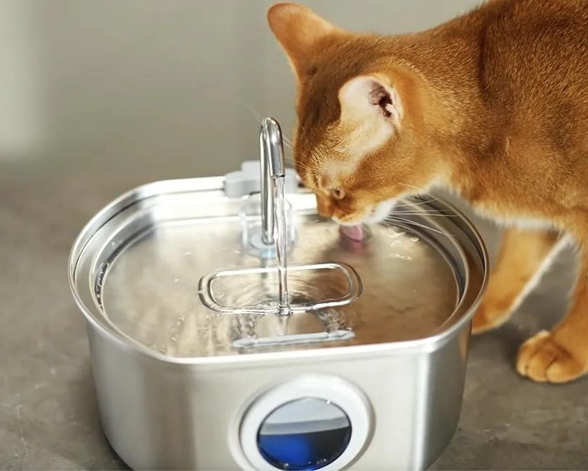 Fontana per Animali Domestici | Fontana Silenziosa in Acciaio Inossidabile con Triplo Filtraggio | Capacità di 3,2 Litri per Idratazione Sana 1