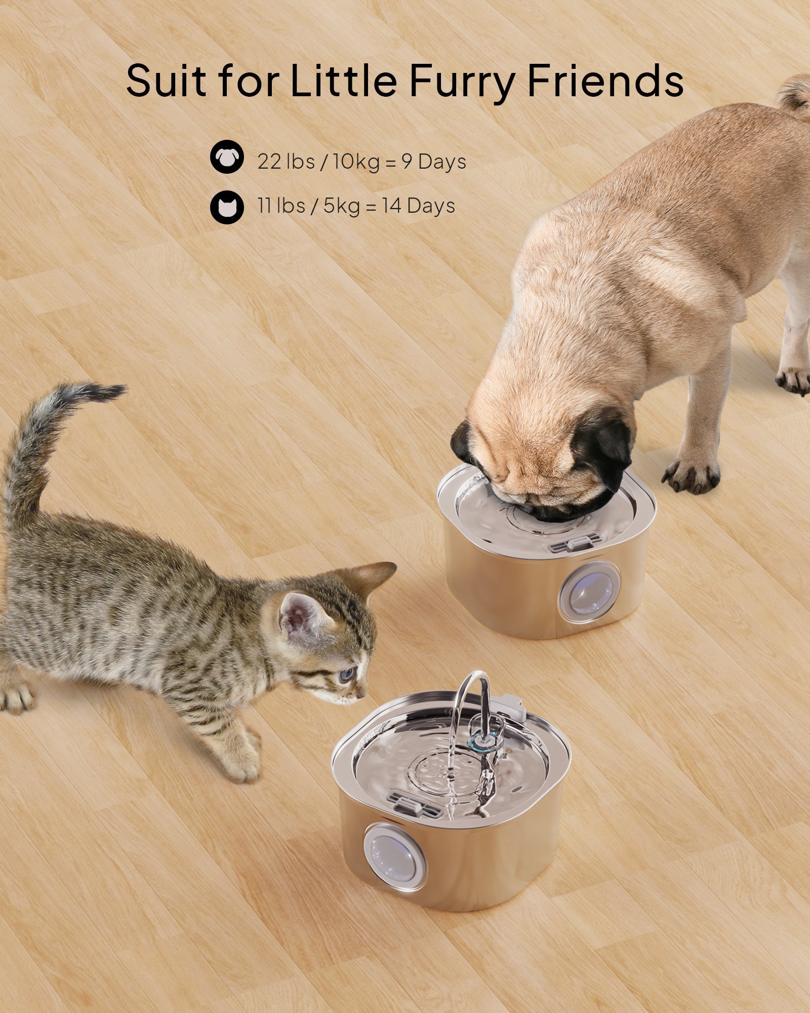 Fontana per Gatti | Fontanella in Acciaio Inossidabile con Design Innovativo | Grande Capacità per Idratazione Sana 3