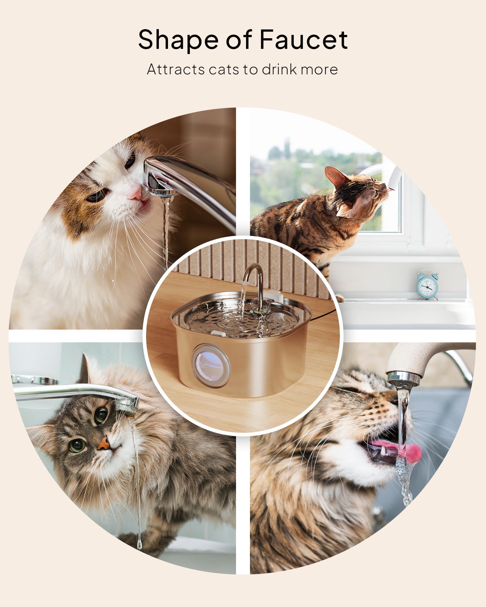 Fontana per Gatti | Fontanella in Acciaio Inossidabile con Design Innovativo | Grande Capacità per Idratazione Sana 7