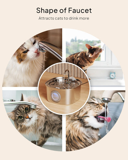 Fontana per Gatti | Fontanella in Acciaio Inossidabile con Design Innovativo | Grande Capacità per Idratazione Sana 7