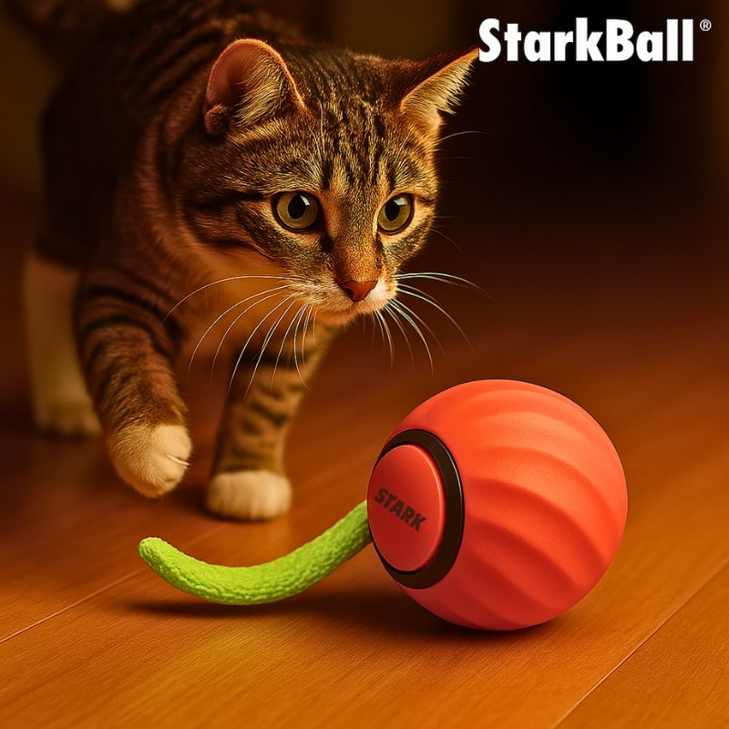 Giocattolo Interattivo per Gatti con Attivazione Automatica | Giochini per Gattini per Intrattenimento e Riduzione dello Stress 0