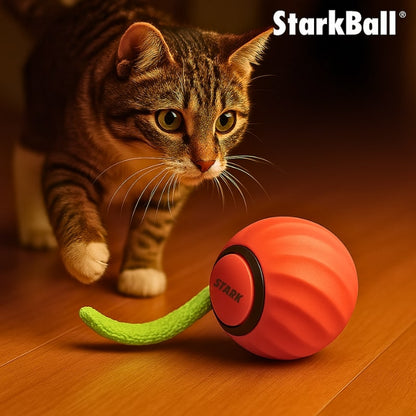 Giocattolo Interattivo per Gatti con Attivazione Automatica | Giochini per Gattini per Intrattenimento e Riduzione dello Stress 0