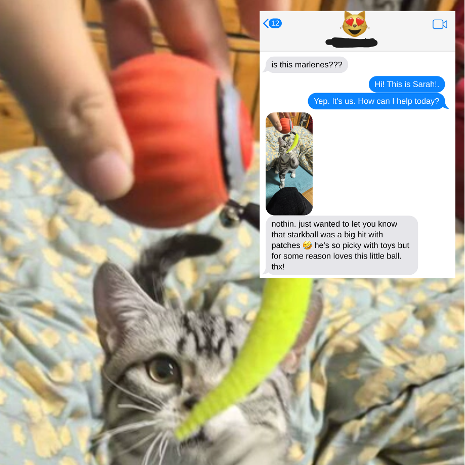Giocattolo Interattivo per Gatti con Attivazione Automatica | Giochini per Gattini per Intrattenimento e Riduzione dello Stress 4