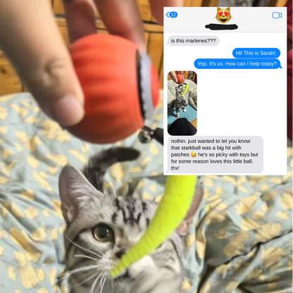 Giocattolo Interattivo per Gatti con Attivazione Automatica | Giochini per Gattini per Intrattenimento e Riduzione dello Stress 4