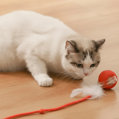 Kattenspeelgoed – Bal met Staart  