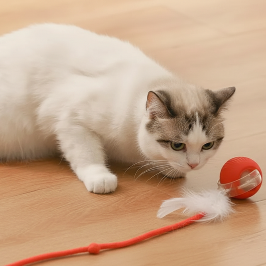 Giocattolo per Gatti | Palla Rotolante con Coda Realistica | Stimola l'Istinto di Caccia e Promuove Esercizio Attivo 0