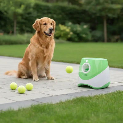 Jeu interactif pour chiens | Lanceur automatique de balles avec 3 modes de portée | Renforce le lien entre les chiens et les humains
