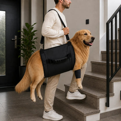 Imbracatura Ergonomica per Cani | Nylon Resistente con Maniglia Antiscivolo | Regolabile per Comfort e Sicurezza durante le Passeggiate 2