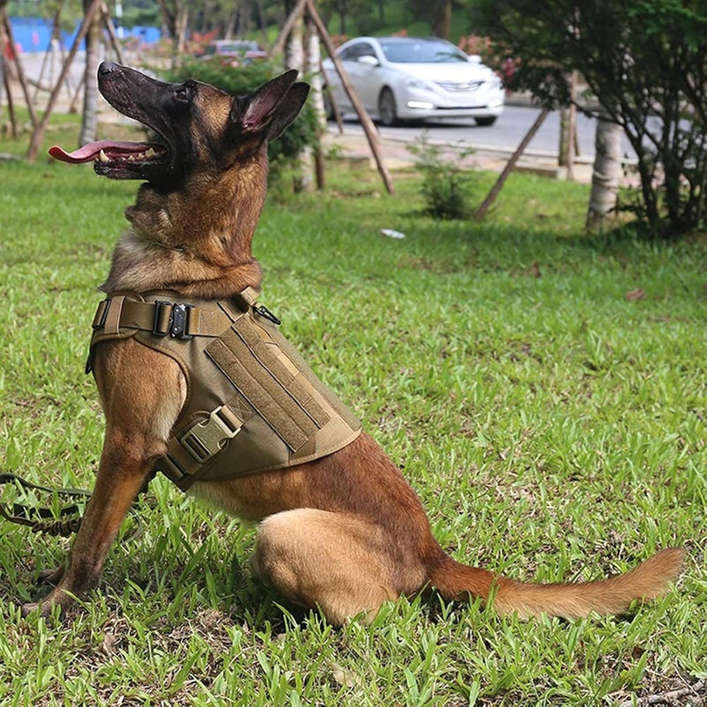 Imbracatura K9 | Harness per Cani Potenti con Protezione Completa | Comfort e Controllo per Allenamento e Passeggiate 5