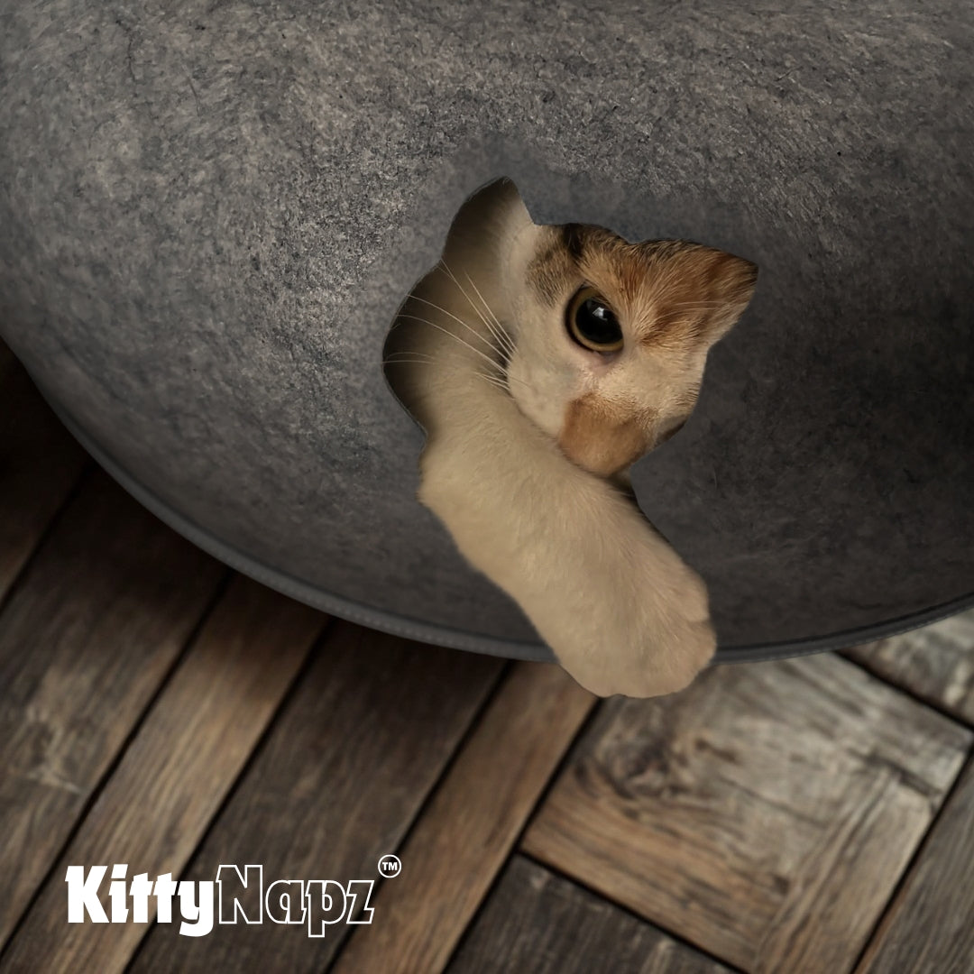 Kitty Napz | Letto per Gatti Con Design Ergonomico e Materiali Resistente | Riposo Confortevole per Il Tuo Amico a Quattro Zampe 2
