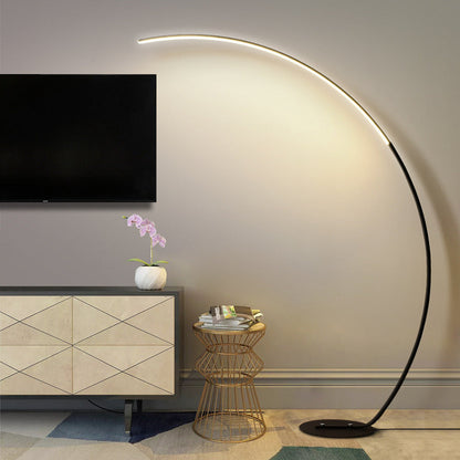 Modern LED Floor Lamp