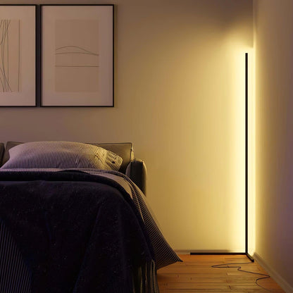 Minimalist Floor Lamp with Adjustable Light
