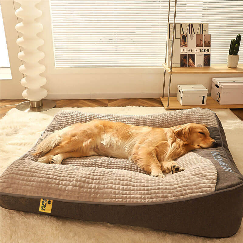 Letto Per Cani Ergonomico Con Cuscino Ortopedico | Comfort Ottimale Per Tutte Le Taglie 1