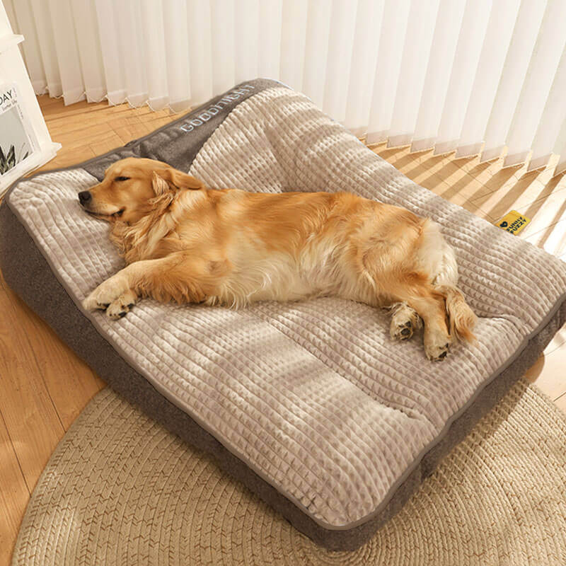 Letto Per Cani Ergonomico Con Cuscino Ortopedico | Comfort Ottimale Per Tutte Le Taglie 2