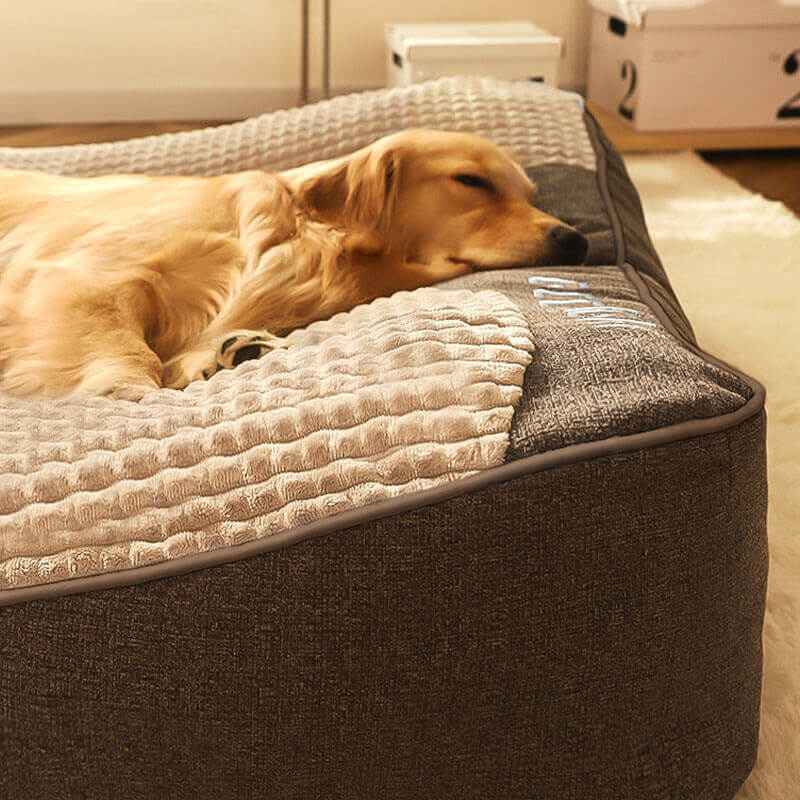 Letto Per Cani Ergonomico Con Cuscino Ortopedico | Comfort Ottimale Per Tutte Le Taglie 3