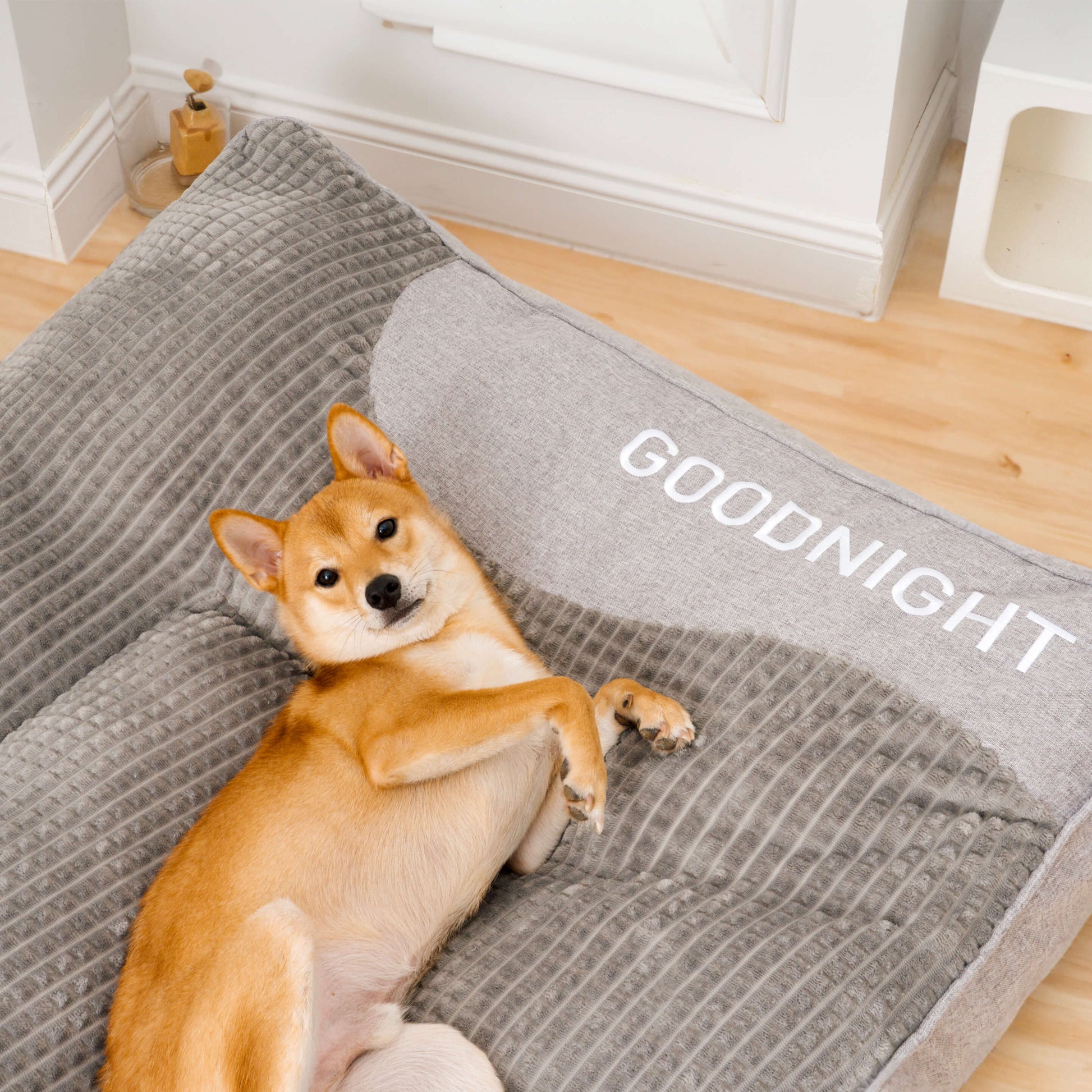 Letto Per Cani Ergonomico Con Cuscino Ortopedico | Comfort Ottimale Per Tutte Le Taglie 8