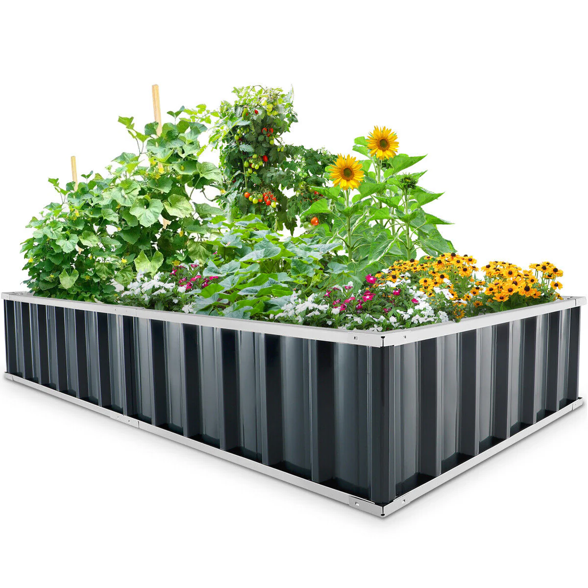 Raised Garden Bed with Ergonomic Design and Ample Space for Growing Flowers and Vegetables
