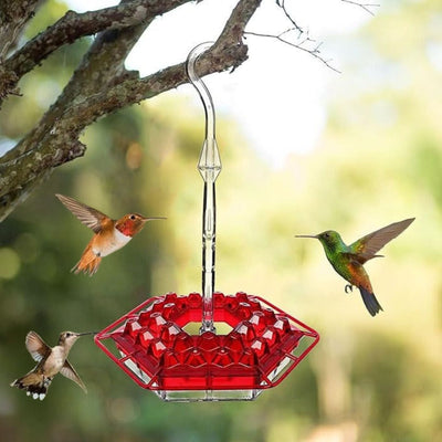 Mangeoire pour oiseaux | À l’épreuve des fourmis avec design anti-fuite | Idéale pour profiter de l’observation des oiseaux dans votre jardin
