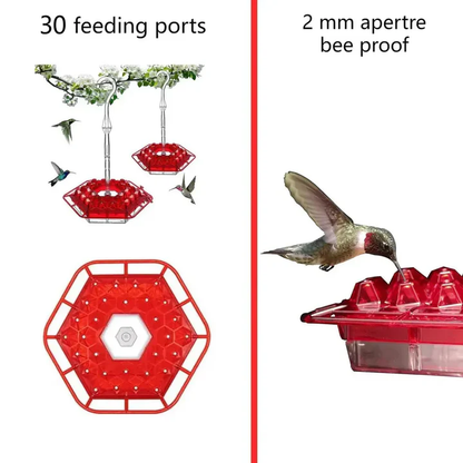 Bird Feeder | Ant-Ant Proof with Spill-Resistant Design | Ideal for Enjoying Birdwatching in Your Garden