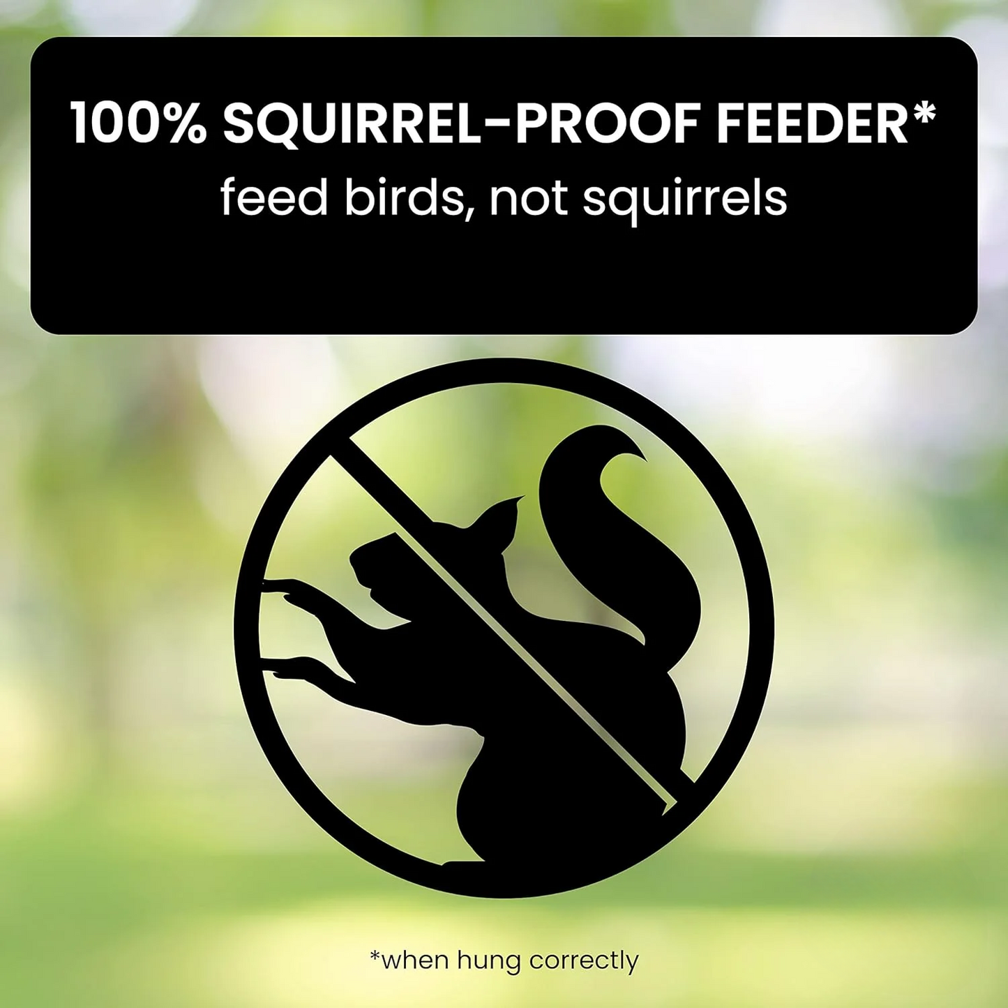 Bird Feeder | Squirrel-Proof with Rotating Perch | Durable Design for Continuous Feeding