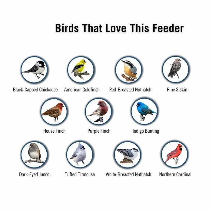 Bird Feeder | Squirrel-Proof with Rotating Perch | Durable Design for Continuous Feeding