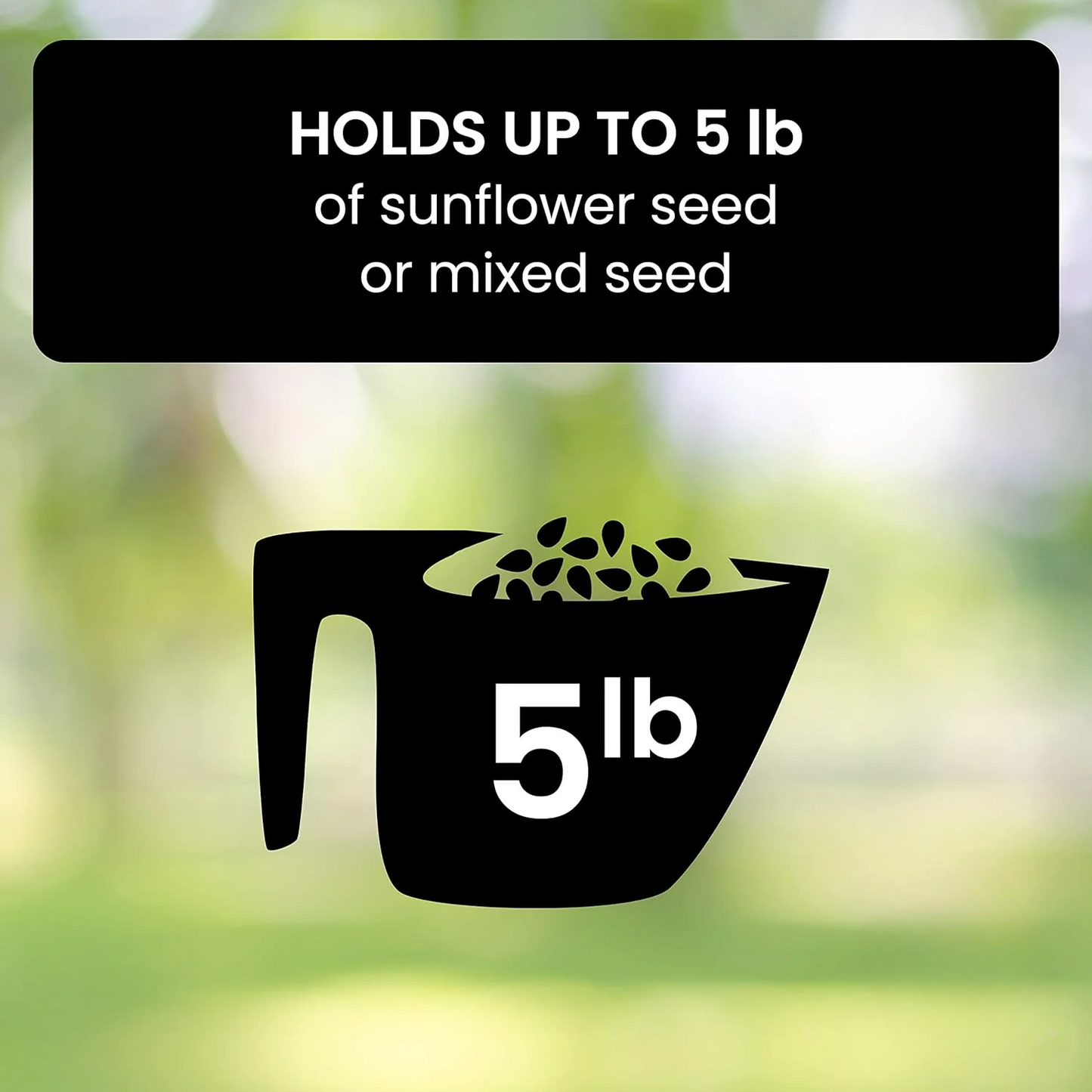 Bird Feeder | Squirrel-Proof with Rotating Perch | Durable Design for Continuous Feeding