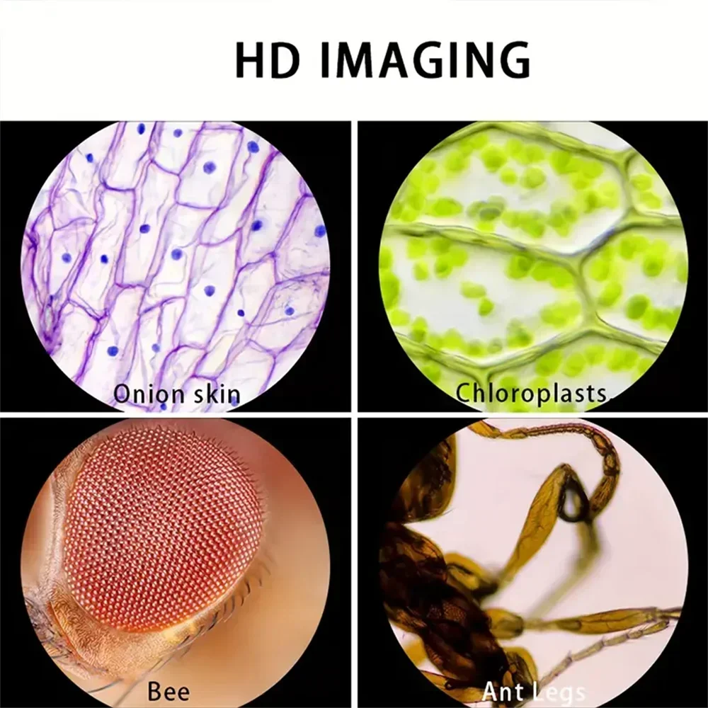 Microscopio Tascabile | Ingrandimento 60-120x con Luce LED | Ideale per Esperimenti Scientifici e Osservazione di Campioni Biologici 4