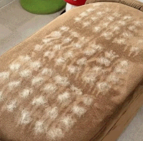 Pacchetto Animale Domestico | Accessori per Animali con Giocattoli Inclusi | Soluzione Completa per il Benessere del Tuo Amico a Quattro Zampe 3