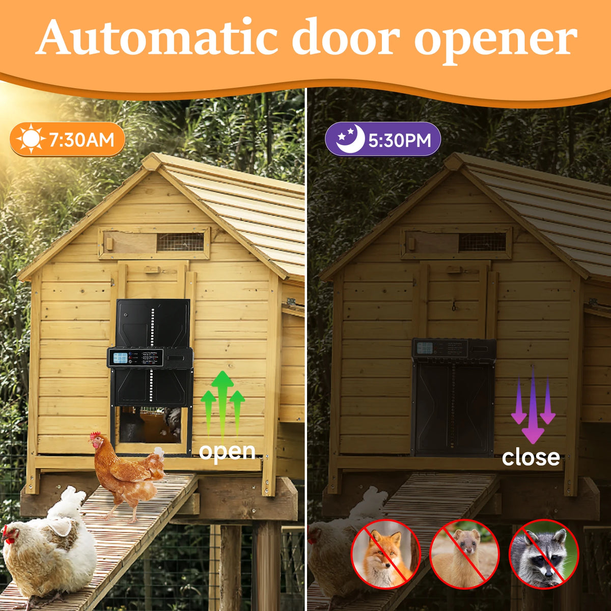 Porta Automatica Pollaio | Elettrica in Alluminio con Timer Intelligente | Sicurezza e Comfort per I Tuoi Polli 1