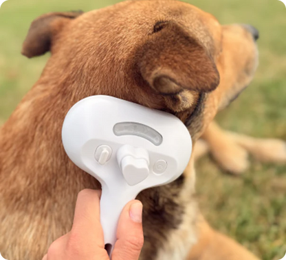 Spazzola per Cani e Gatti con Nebbia Detergente - Cura del Pelo per Animali Domestici