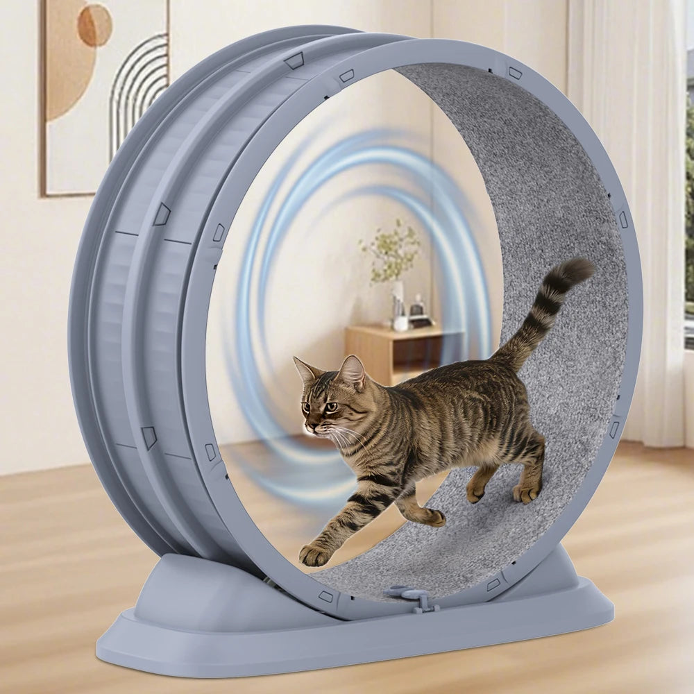 Ruota Gatti | Ruota per Esercizi Grande con Design Antigraffio | Giocattolo Silenzioso per Salute e Divertimento Feline 0